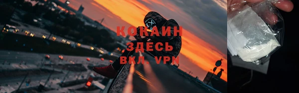 бошки Белокуриха